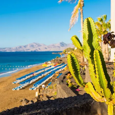 Urbano Big Loft * Arrecife (Lanzarote)