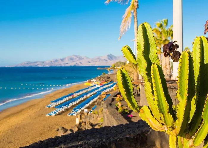 Urbano Big Loft * Arrecife (Lanzarote)